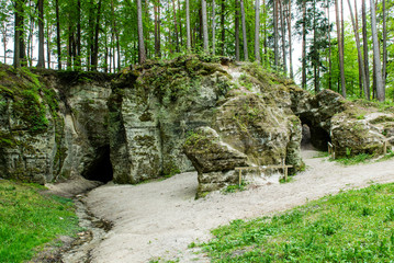 sandstone cliffs in Gauja national park