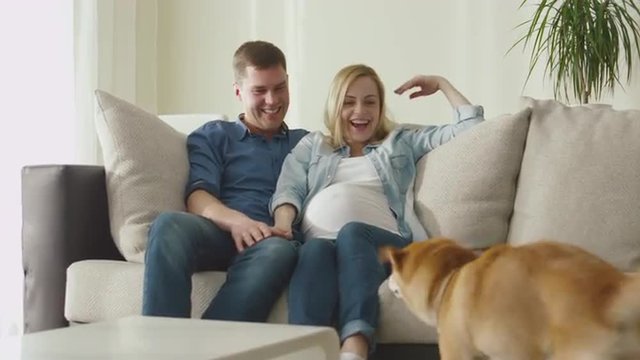 Happy family are relaxing on a sofa at home with pet dog. Show on RED Cinema Camera.