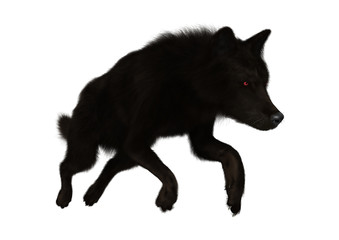 3D Illustration Black Wolf on White
