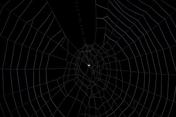 Spider web background