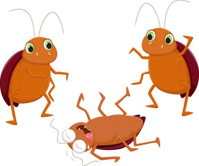 three cockroach cartoon