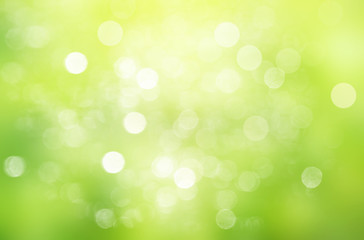 Fototapeta na wymiar Spring or summer background background blur.