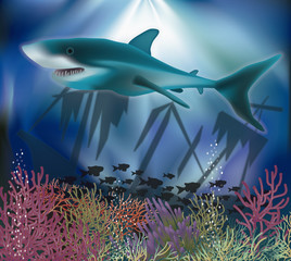 Underwater world wallpaper, vector illustration