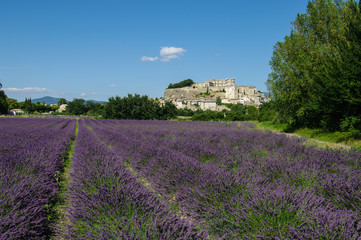Plakat F, Provence, Drôme, Blick auf Grignan, Lavendelfeld