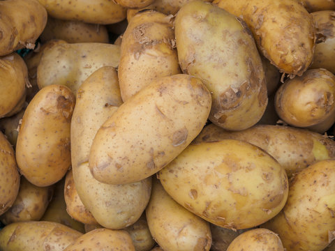 Fresh organic potatoes sold on morning market