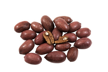 Whole Pecan and open Pecan