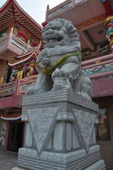 Fototapeta na wymiar Lion statue in Chinese shrine,Thailand