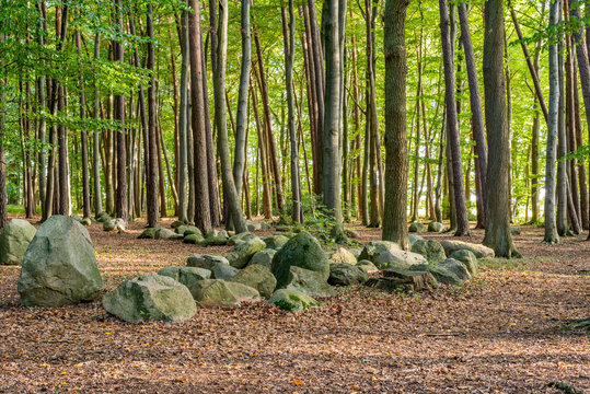 Findlinge im Wald