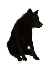 3D Illustration Black Wolf on White