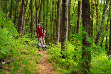 Naklejka premium Rider on Mountain Bicycle it the forest