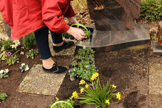 Ältere Frau pflanzt Blumen aufs Grab