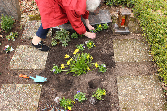 Ältere Frau pflanzt Blumen aufs Grab
