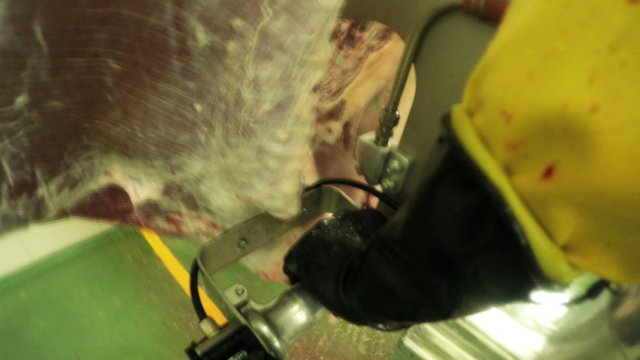 Experience the inside of a red meat slaughterhouse with an electric saw cutter mounted camera capturing both video and audio.