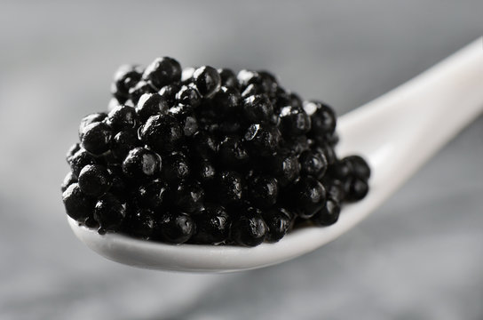 spoon of black caviar close-up on a gray background