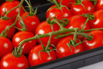 fresh cherry tomatoes