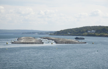 salmon aquaculture cages in St. Marys Bay in Digby, Nova Scotia