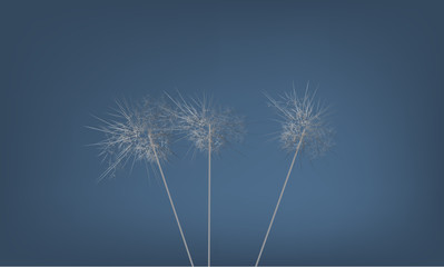 Naklejka premium Abstract background with strange Dandelion illustration. Illustrated vector