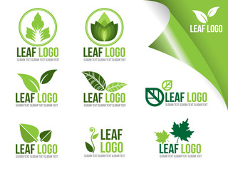 Collection Of Ecology Logo Symbols, Organic Green Leaf Vector Design