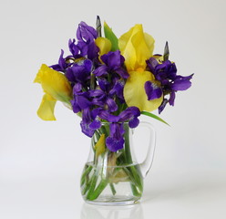 Bouquet of yellow and purple irises flowers in a vase. Floral decoration with colorful  flowers de luce.
