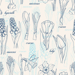 Seamless pattern with spring flowers