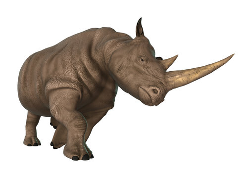 3D Illustration Rhinoceros on White