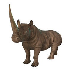 Fototapeta na wymiar 3D Illustration Rhinoceros on White