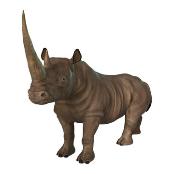 3D Illustration Rhinoceros on White