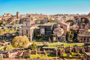Fototapeta na wymiar The Roman Forum in Rome, Italy