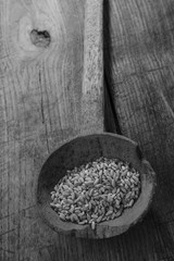 foto b/n di mestolo antico con del grano su sfondo tavolo
