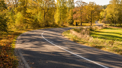 Fototapeta premium empty road in the countryside in autumn