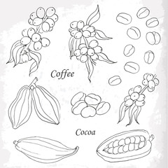 Set of coffee and cocoa elements doodle style