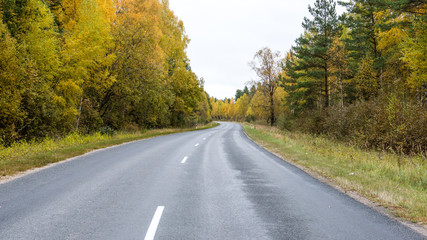Fototapeta premium empty road in the countryside in autumn
