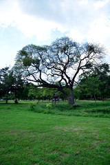 Obraz premium Small shrine