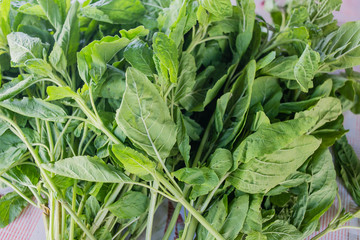Fresh organic basilic leaves