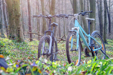 Fototapeta premium bicycles