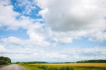 Landscape with road and cornfield