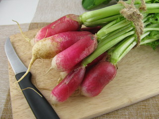 Frische Bio-Radieschen