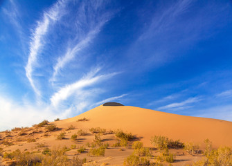 Naklejka premium Majesty of nature: huge sand dune in the semi-desert at sunrise.
