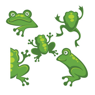 Cute green tree frog cartoon character Icons, symbols and emblem