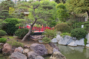 Japanese Garden in Monaco in the early morning. Part of the red bridge is hidden behind a bush