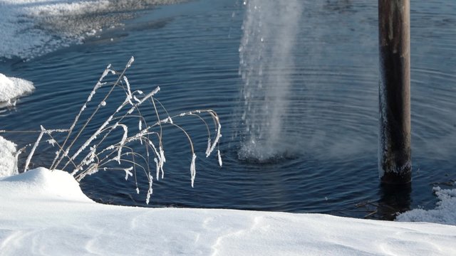 frosted plant near hot water from well in Kamchatka