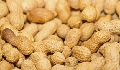 Erdnüsse