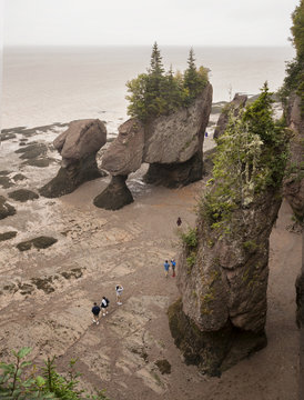 Hopewell Rocks During Low Tide New Brunswick Canada