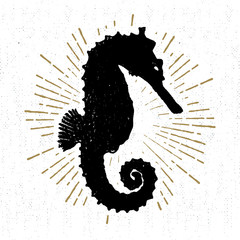 Hand drawn textured icon with seahorse vector illustration © SlothAstronaut