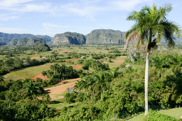 Fototapeta na wymiar Panoramic view over landscape with mogotes in Vinales Valley
