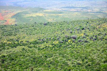 Obraz premium The Rift Valley