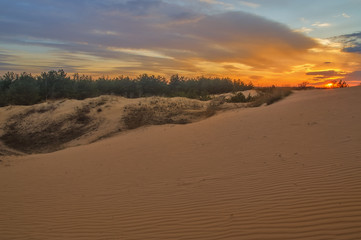 Fototapeta na wymiar nice sunset on the sand quarry, in the woods