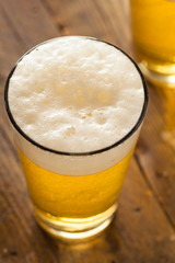 Refreshing Summer Pint of Beer