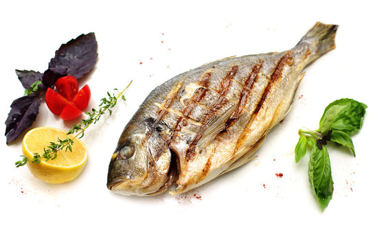 Dorado Fish with Garnish on White Background