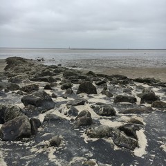 Ebbe legt den Wellenbrecher frei